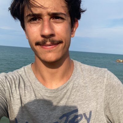 Profile Picture of Valerio Ziantoni (@LoZyoTony) on Twitter