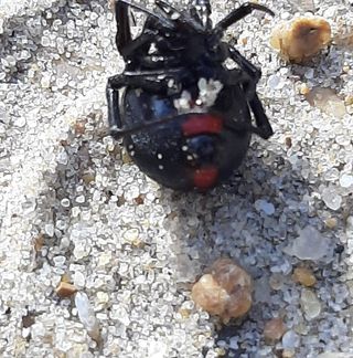 Profile Picture of Gabe Stabley (@gabe.stabley) on Facebook