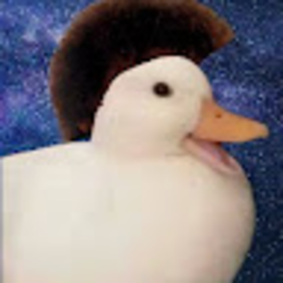 Profile Picture of Orrin Allen (@timbertech) on Poshmark