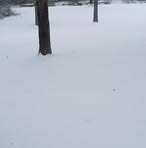 Profile Picture of Earnest Bolling (@Earnest-Bolling) on Facebook