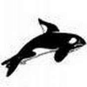 Profile Picture of Shawn Hatfield (@shawnhatfield76) on Youtube