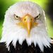 Profile Picture of James Hontz (@jlhjlh23) on Pinterest