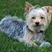 Profile Picture of Bob Williams (@bob.williams.3990) on Facebook