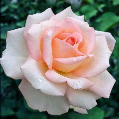 Profile Picture of Nicola Foster (@UsedAndAbused74) on Twitter