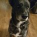 Profile Picture of Jessie Anhalt (@jessie.anhalt.5) on Facebook