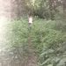 Profile Picture of Steven Copher (@stevencopher) on Pinterest