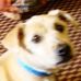 Profile Picture of Nancy Nowak Gilpatrick (@nancy.n.gilpatrick) on Facebook