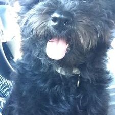 Cindy Schoch - Twitter Profile Picture of Cindy Schoch (@cindy_schoch) on Twitter