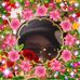 Profile Picture of Aaron Basikn (@aaron.basikn.50) on Facebook