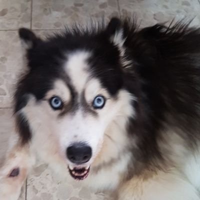 Profile Picture of Cindy Michaels (@cindal37) on Twitter