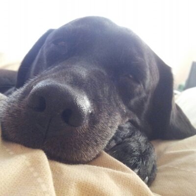 Profile Picture of Kathryn (@kathrynhughes25) on Twitter