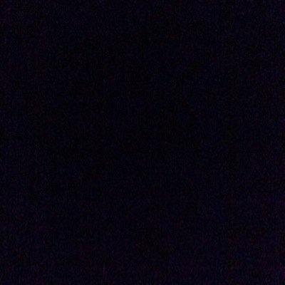 Profile Picture of Michael Elowitz (@ElowitzMichael) on Twitter