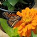 Profile Picture of Paula Gallo (@paula.gallo.583) on Facebook