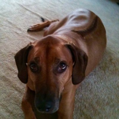 Jimmy Cullen - Twitter Profile Picture of Jimmy Cullen (@@the_jimmycullen) on Twitter