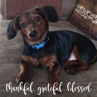 Profile Picture of Shirley Adkins (@shirley-adkins-3) on Quora