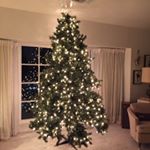 Profile Picture of Ruth Earl Silva (@ruthearlsilva) on Instagram