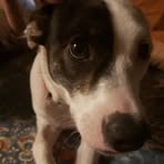 Profile Picture of Allen Poppenhager (@allen.poppenhager.7) on Facebook