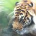 Profile Picture of Joshua Liddell (@joshua.liddell.372) on Facebook