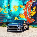 Profile Picture of Troy (@ruff_toyz_5.0) on Instagram