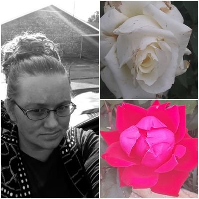 Profile Picture of Shawna Hodge (@shawnaH68547906) on Twitter