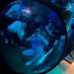 Profile Picture of Joél Sagona (@_joelsagona) on Instagram