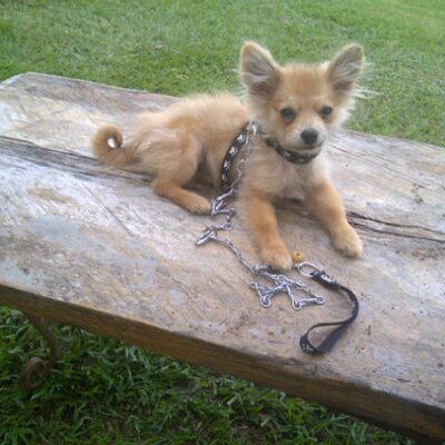 Profile Picture of Alvaro Miguel Mina (@minacaracol) on Twitter