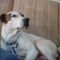 Profile Picture of Chuck Goode (@chuck.goode.399) on Facebook