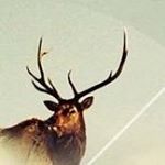 Profile Picture of Cameron Scout (@mellow_temp_) on Instagram