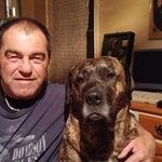 Profile Picture of Normand Ouellette (@normand.ouellette) on Instagram