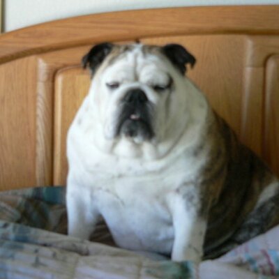 Profile Picture of Glenn Murray (@isabelle_glenn) on Twitter