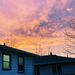 Profile Picture of Kyleigh Lorang (@kyleighlorang) on Pinterest