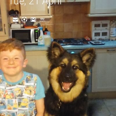 Profile Picture of Noel Dunne (@NoelDunne18) on Twitter