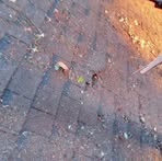 Profile Picture of Keith Wayne Anker (@keith.anker.100594) on Facebook