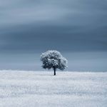 Profile Picture of ਰੋਬਿਨ ਗਿੱਲ.  رابن گل. (@___robin___gill) on Instagram