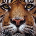 Profile Picture of Marilyn Hodge (@hodge_marilyn) on Instagram