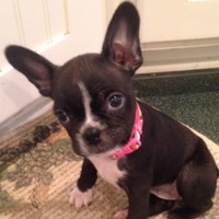 Profile Picture of Nancy Brumit (@nancy-brumit) on Quora