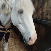 Nicholas Layton - Youtube Profile Picture of Nicholas Layton (@Nicholaslayton-pu3gk) on Youtube