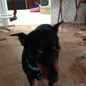 Profile Picture of Jewel Majors (@gab3ttb) on Myspace