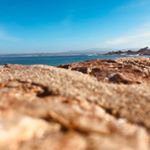 Profile Picture of Morgan Wiley Photography (@morganwileyphotography) on Instagram