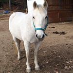 Profile Picture of Joanne Rourke (@joanne.rourke.31) on Instagram