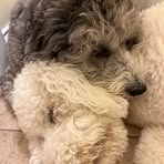 Profile Picture of Jeff DiBartolo (@Jeff-DiBartolo) on Facebook