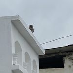 Profile Picture of Alexander Chang (@alexander_chang_01) on Instagram