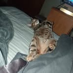 Profile Picture of James Schoepf (@james.schoepf.77) on Facebook