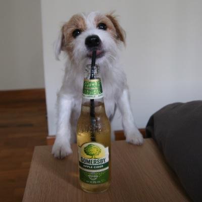 Profile Picture of Sam Forest Loo Lim (@Samforestloolim) on Twitter