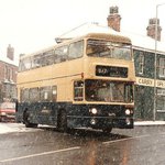 Profile Picture of Carly Gilbert (@carlysgilbert) on Instagram