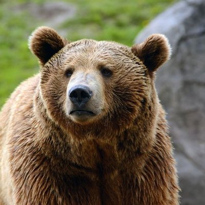 Profile Picture of Aleksandar Stojanovic (@Aleksan82709595) on Twitter