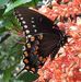 Profile Picture of Marsha Olson (@marsha.olson.79) on Facebook