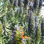 Profile Picture of Chris McMurray (@christinemcmurray) on Instagram