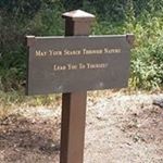 Profile Picture of Alex Ayon (@official_alexayon) on Instagram