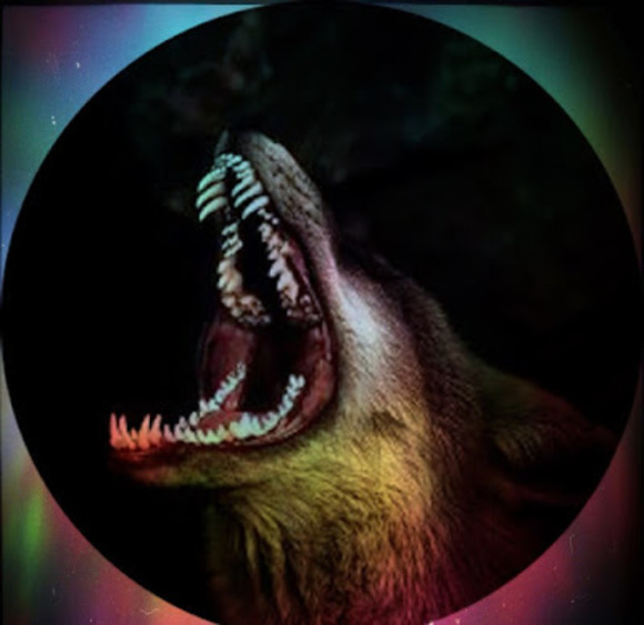 Profile Picture of Grant Martz (@grant_martz) on Poshmark